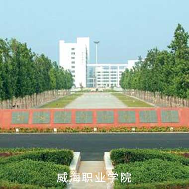 NG电子集团|国际站官网